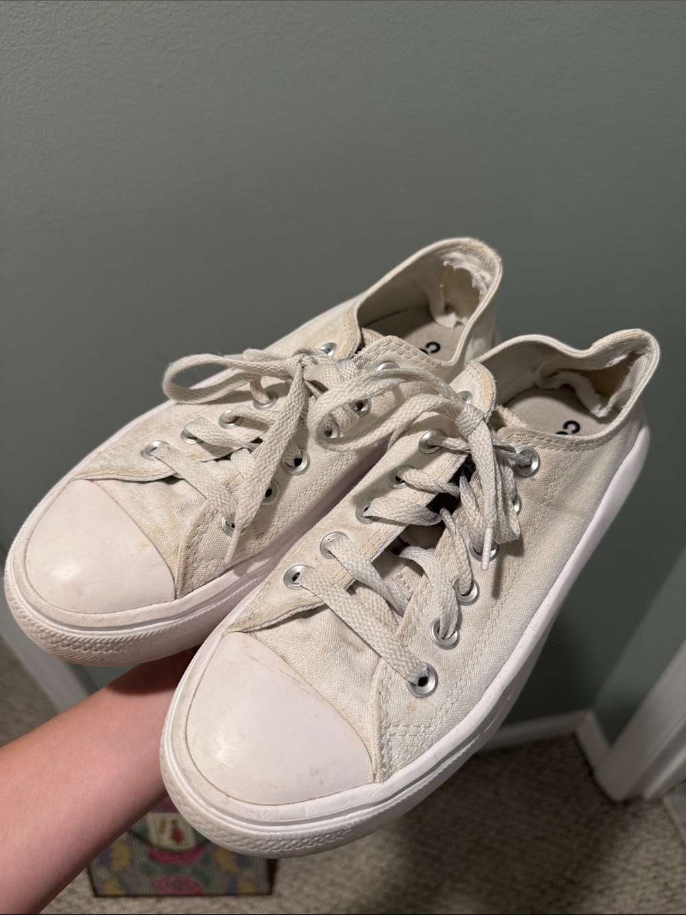 Converse Low-Top Canvas Sneakers